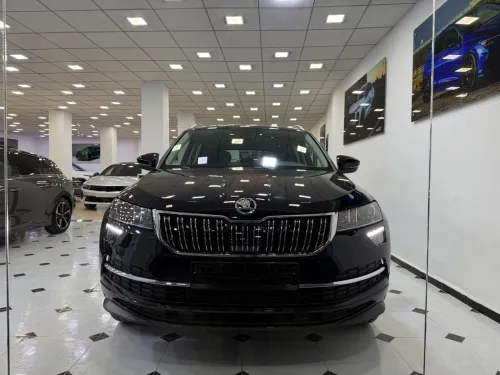 Skoda Karoq 2025 