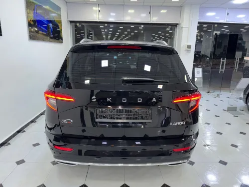 Skoda Karoq 2025 