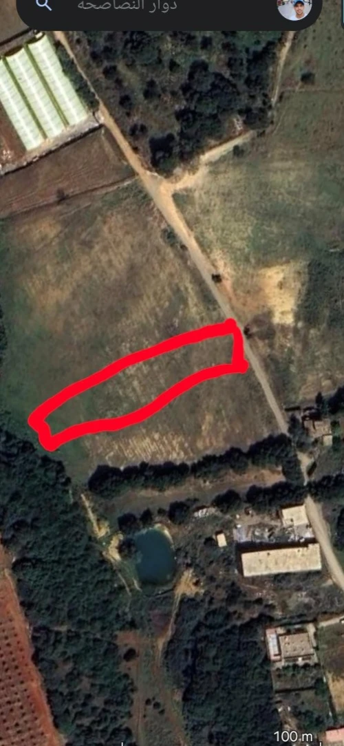 Vente Terrain Tipaza Attatba