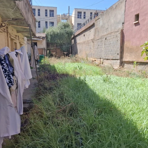 Vente Terrain Alger Birkhadem