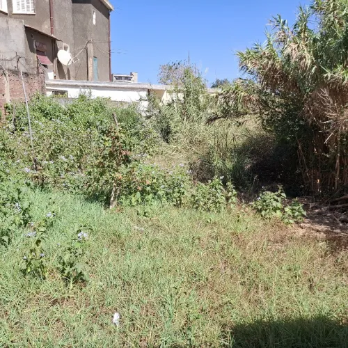 Vente Terrain Alger Birkhadem
