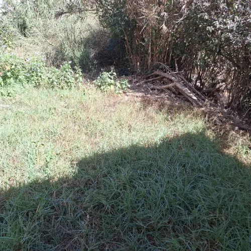 Vente Terrain Alger Birkhadem