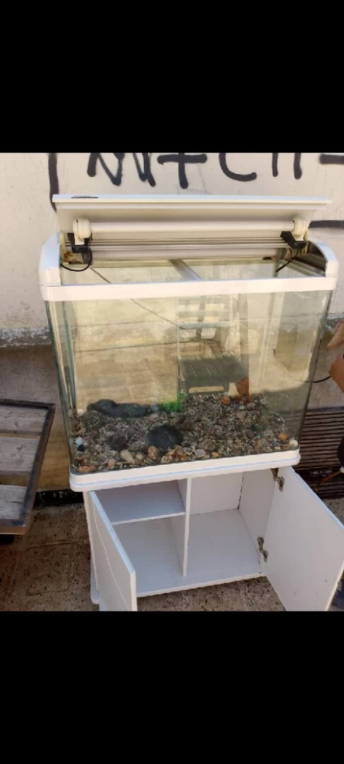 Aquarium