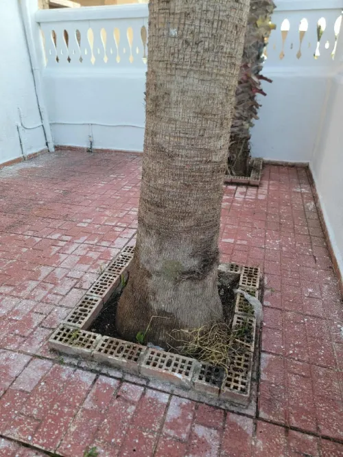 Location vacances Appartement F3 Alger Cheraga