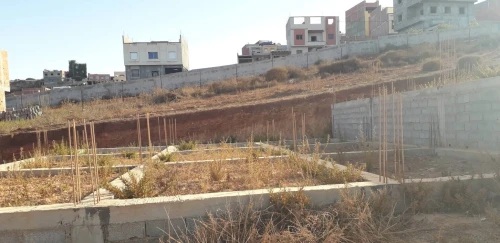 Vente Terrain Tlemcen Marsa ben mhidi 4