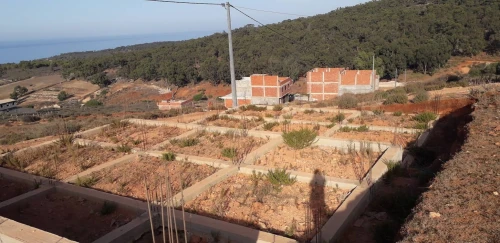 Vente Terrain Tlemcen Marsa ben mhidi 8