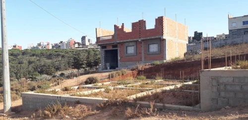 Vente Terrain Tlemcen Marsa ben mhidi 9