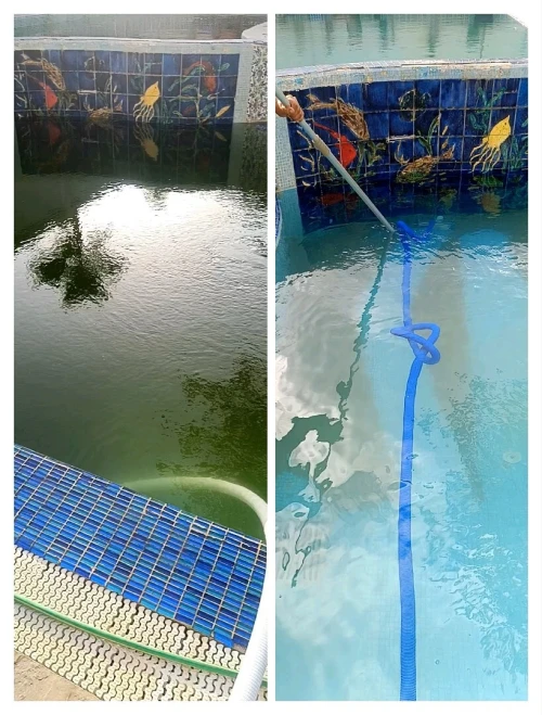  pisciniste 