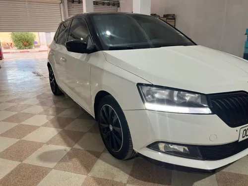 Skoda Fabia 2020 Monte Carlo