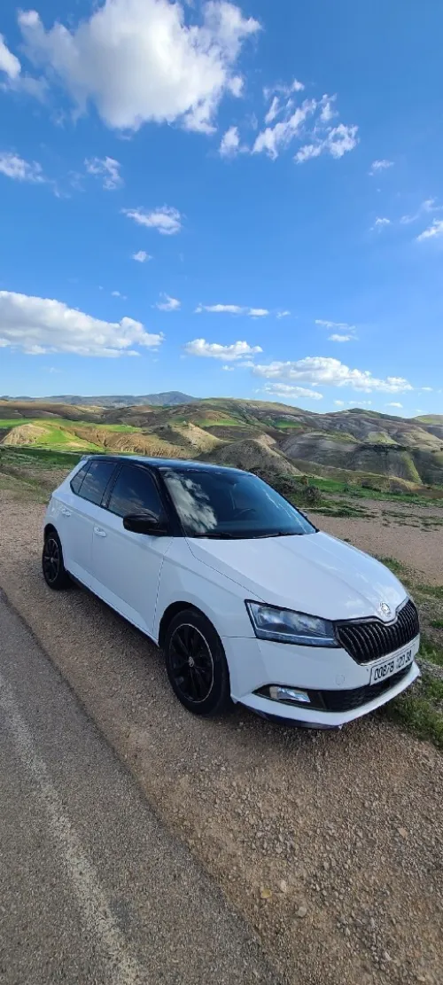 Skoda Fabia 2020 Monte Carlo