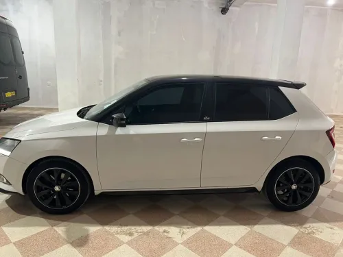 Skoda Fabia 2020 Monte Carlo