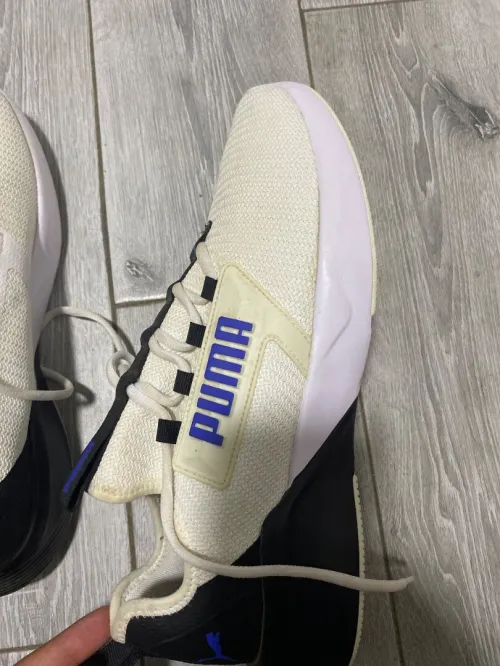 Basket puma original