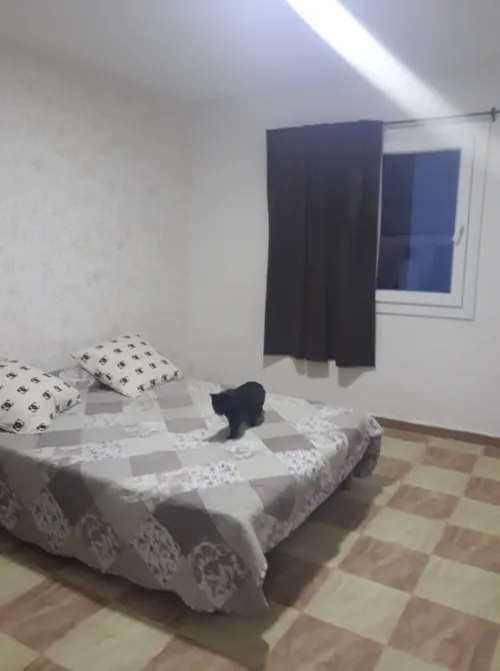 Location vacances Appartement F2 Béjaïa Bejaia