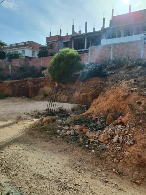 Vente Terrain Tipaza Tipaza