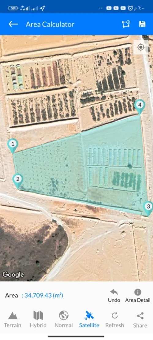 Vente Terrain Agricole Ouargla Hassi ben abdellah