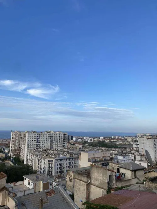 Vente Terrain Alger Belouizdad