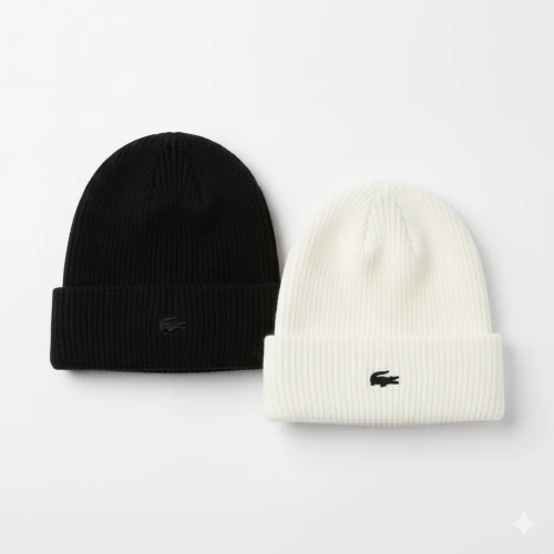 Beanie 2026