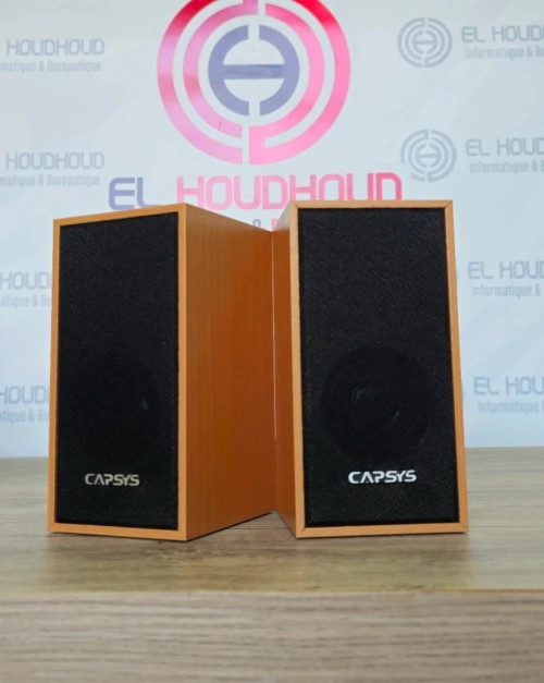 Haut-Parleur Baffle SP241 Marron Son Puissant & Design Élégant