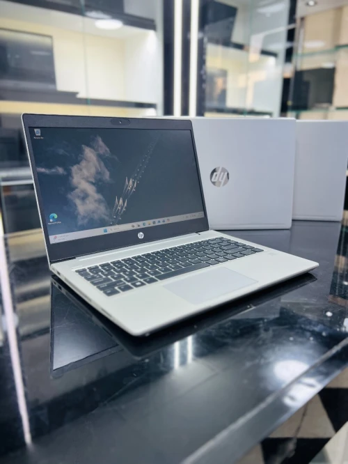 HP PROBOOK 445 G7 RYZEN 5 4500u 16gb 256gb ssd