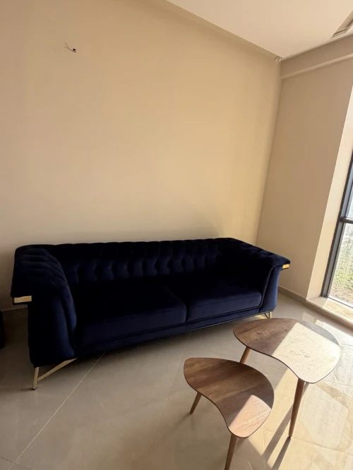 Fauteuils luxueux