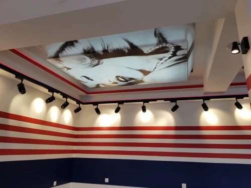 Plafond tendu - Toile tendue - Proteco 