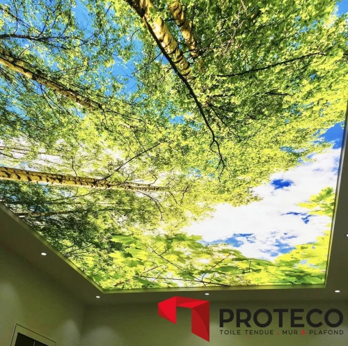 Plafond tendu - Toile tendue - Proteco 