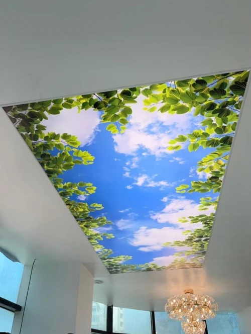 Plafond tendu 