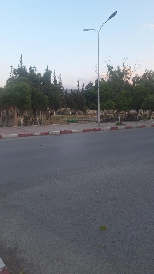 Vente Terrain Batna Batna