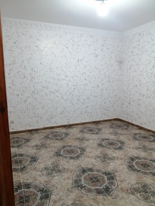 Location Blida Bougara