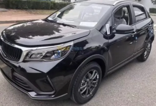 Livan X3 Pro  2026 Automatique (Avec toi ouvrant )