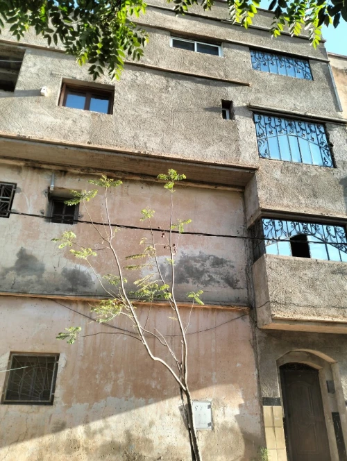 Vente Villa Saïda Saida
