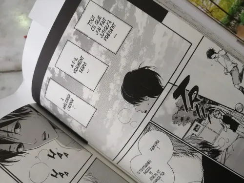 Manga Original Français