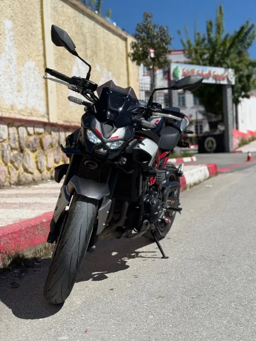 Kawasaki Z900 2025