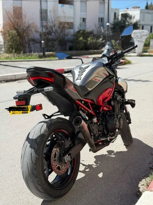 Kawasaki Z900 2025