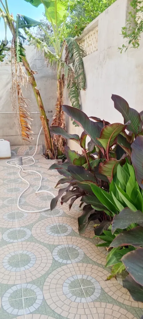 Location vacances Appartement Skikda Collo