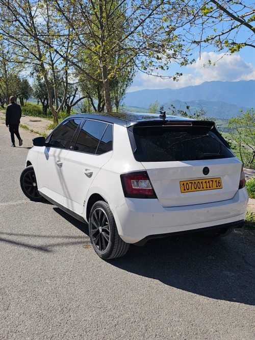 Skoda Fabia 2017 Monte Carlo
