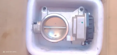 Papion électrique