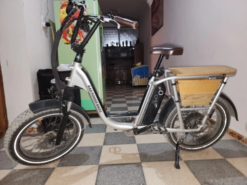 RAD POWER BIKES PLUS