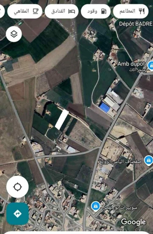 Vente Terrain Sétif Bazer sakhra