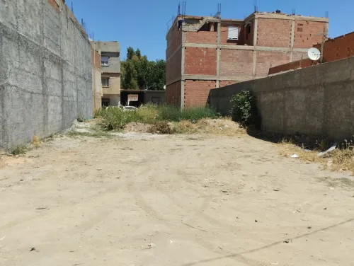 Vente Terrain Blida Boufarik
