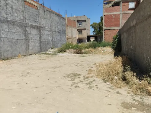 Vente Terrain Blida Boufarik