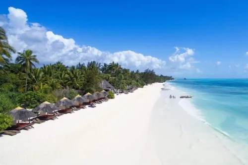PROMOTION TANZANIE & ZANZIBAR DEUX PROGRAMMES AU CHOIX A PARTIR DE 312000 DA SEULEMENT!