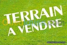 Vente Terrain Tizi Ouzou Tizi ouzou