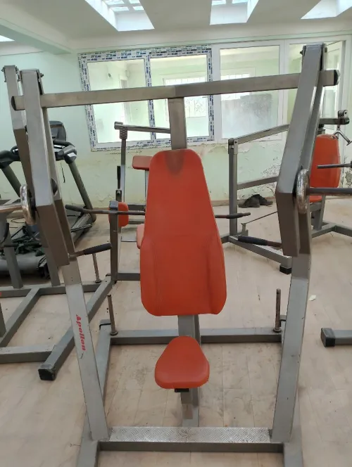 Presses de musculation "Apollon gym"