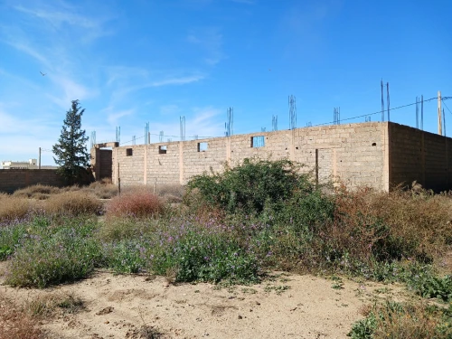 Vente Terrain Batna Ain touta