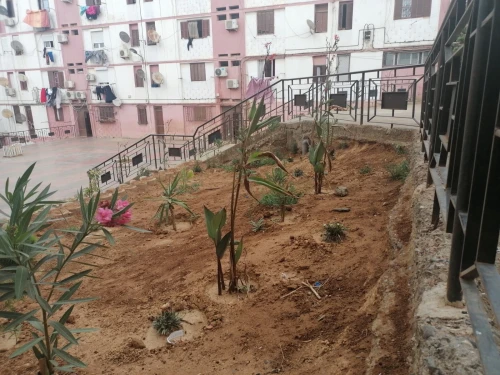 Vente Appartement F3 Alger Bourouba