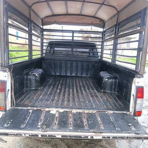 Nissan Pickup 2010 Pickup