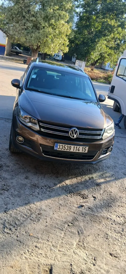 Volkswagen Tiguan 2014 Cup