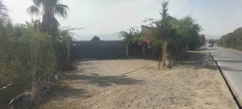 Vente Terrain Agricole Tipaza Tipaza