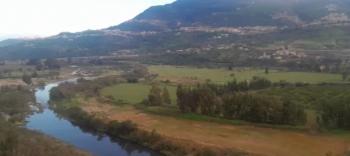 Vente Terrain Agricole Béjaïa Timezrit